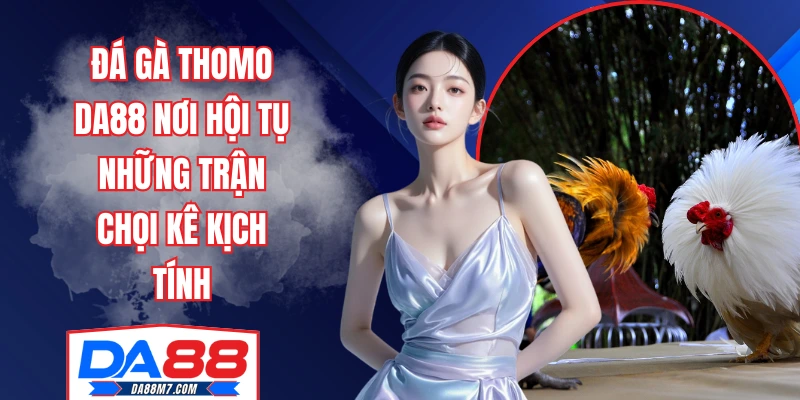 đá gà Thomo